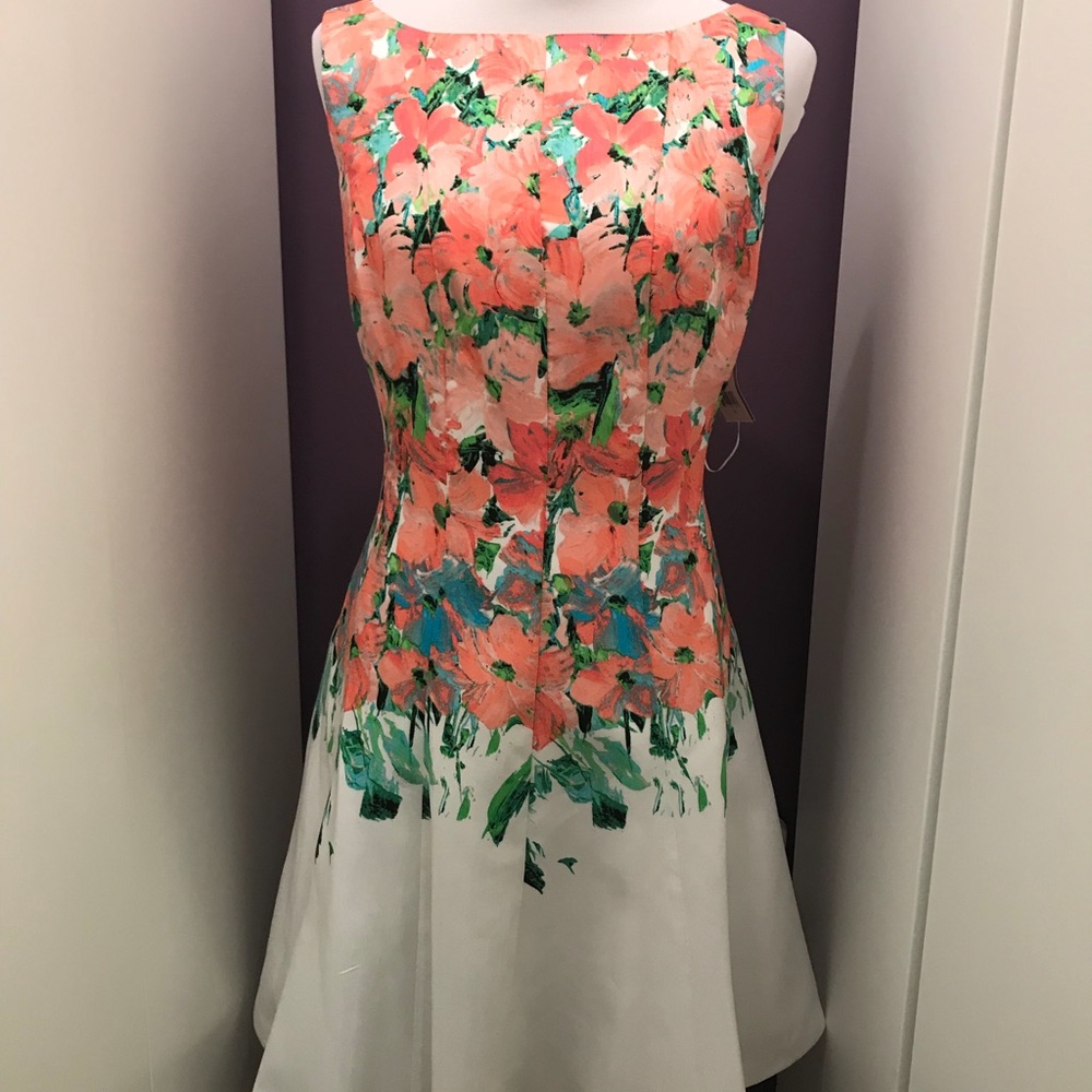 NWT white dress with floral print